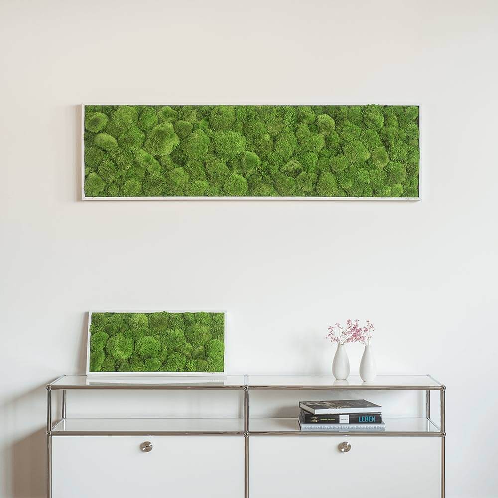 Mechový obraz z kopečkového mechu 140x40